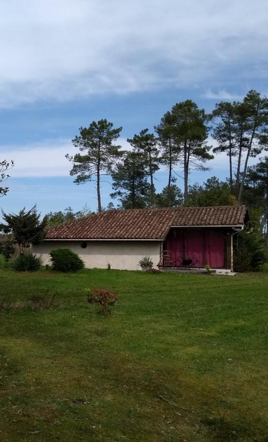 Maison Confortable Avec Terrasse En Bois Au Calme Sans Vis A Vis , 2 Chambres, Sur Un Parc De 4000M2 Arbore Et Clos Pissos エクステリア 写真